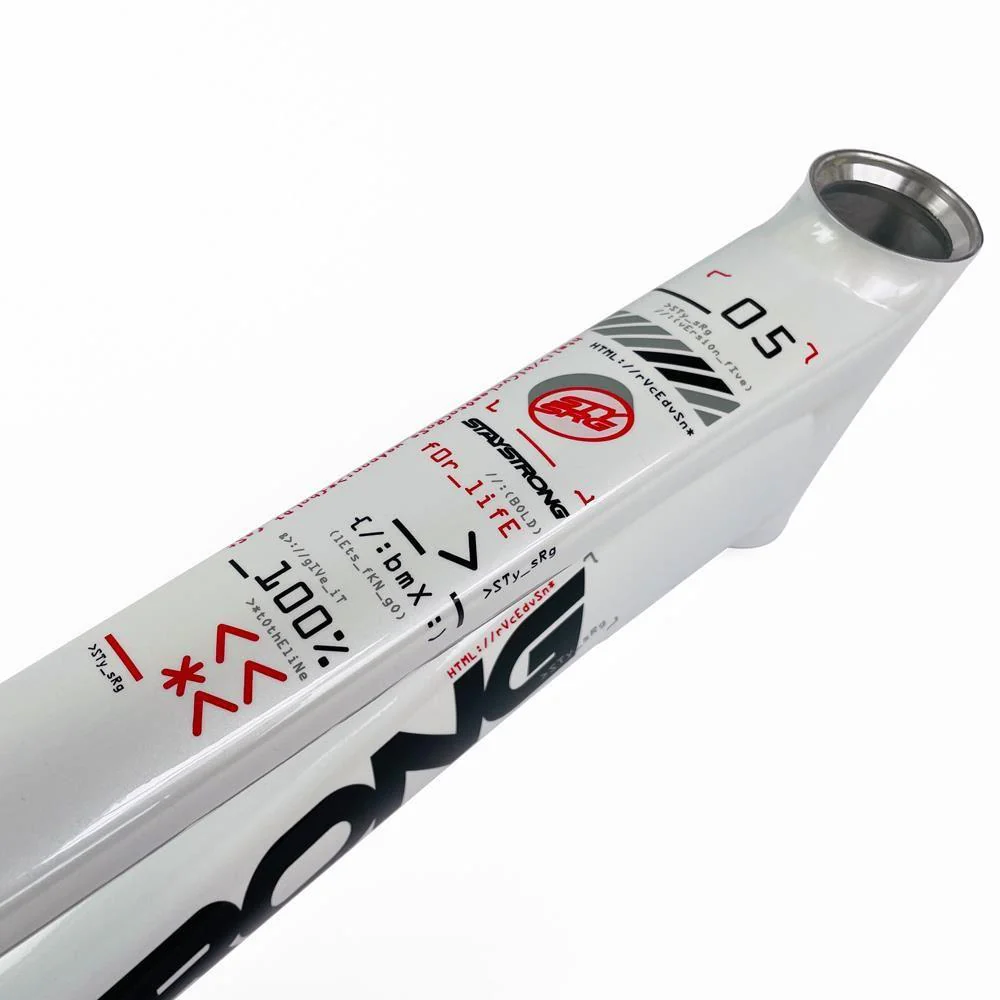 Stay Strong For Life 2024 V5 Cruiser Expert XL Race Frame - Disc Version - Image 21