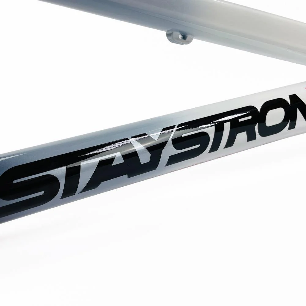 Stay Strong For Life 2024 V5 Cruiser Expert XL Race Frame - Disc Version - Image 24