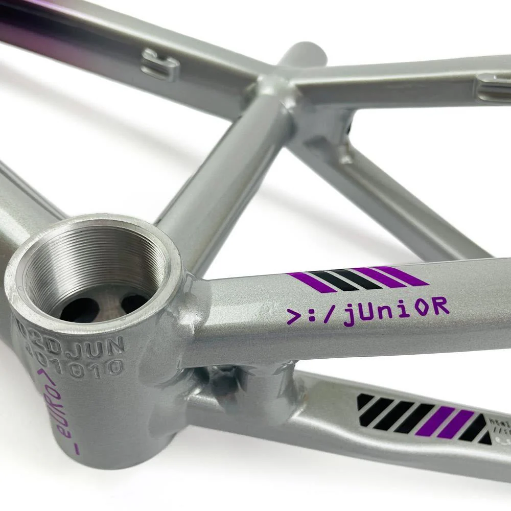 Stay Strong For Life 2024 V5 Cruiser Expert XL Race Frame - Disc Version - Image 5