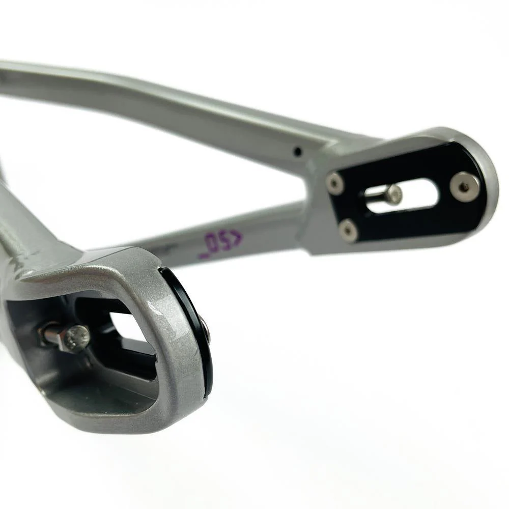Stay Strong For Life 2024 V5 Cruiser Expert XL Race Frame - Disc Version - Image 7