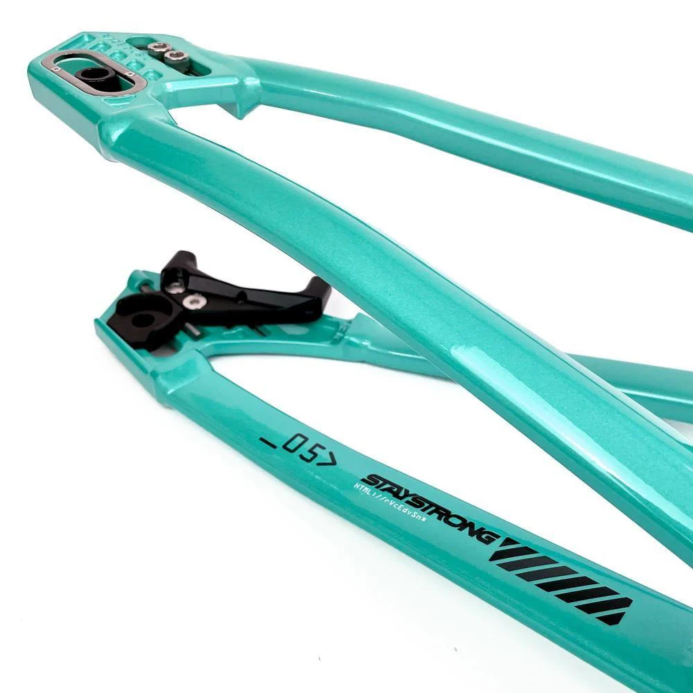 Stay Strong For Life 2024 V5 Cruiser Race Frame - Disc Version - Image 40