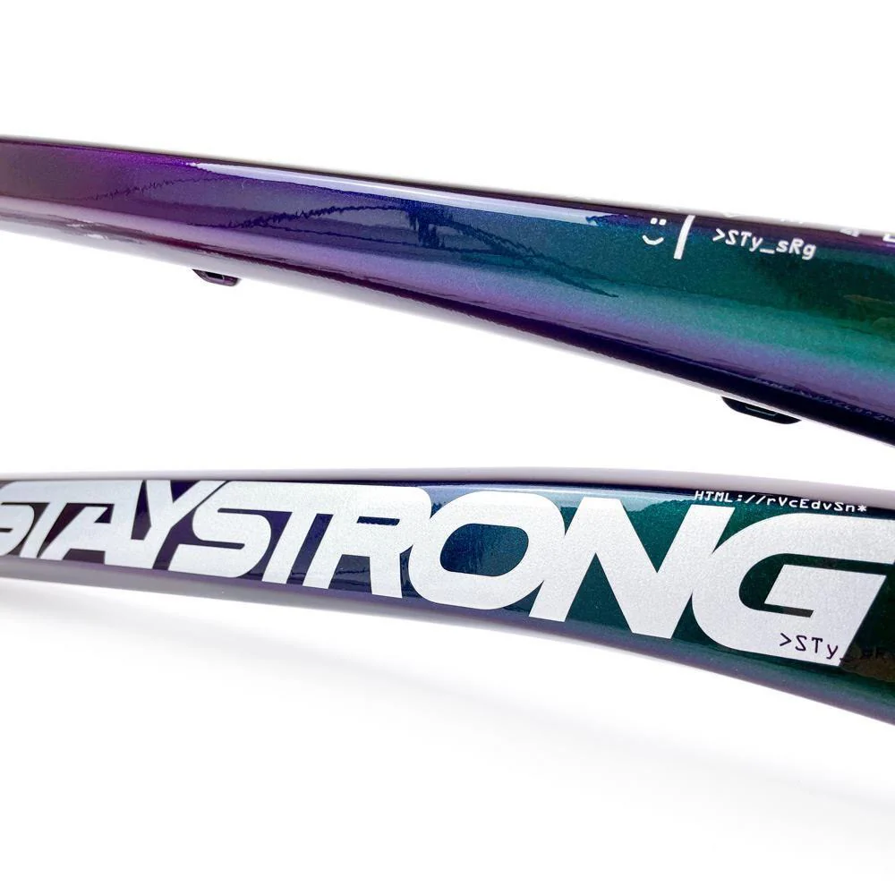 Stay Strong For Life 2024 V5 Cruiser XXL Race Frame - Disc Version - Image 12