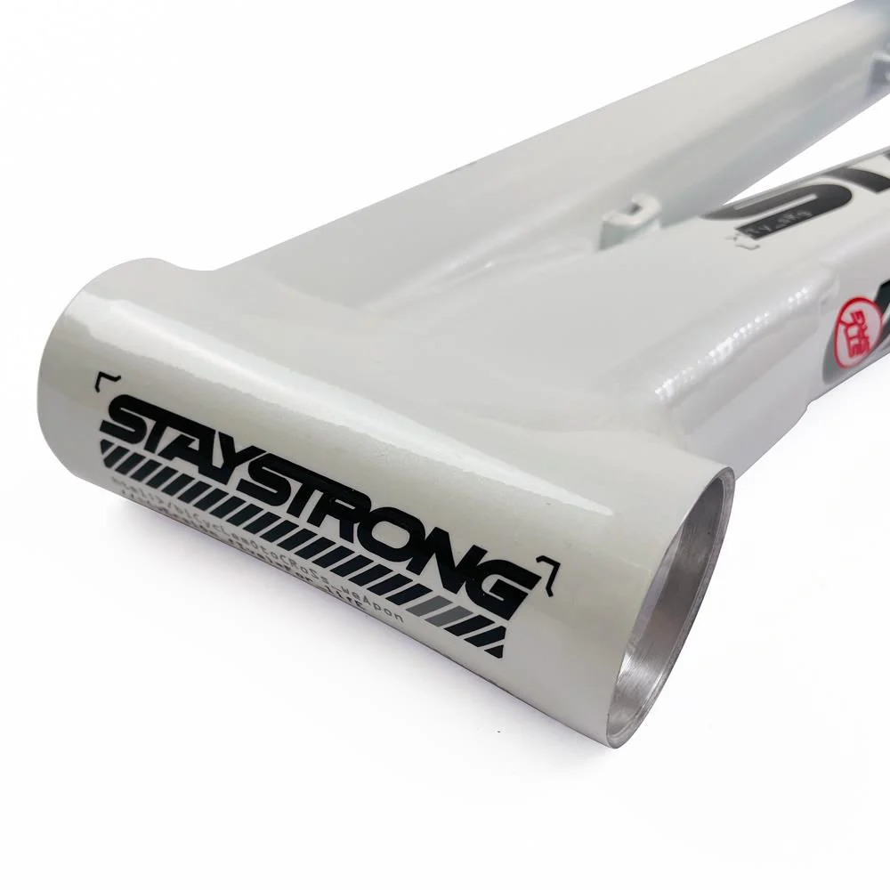 Stay Strong For Life 2024 V5 Expert Race Frame - Image 3