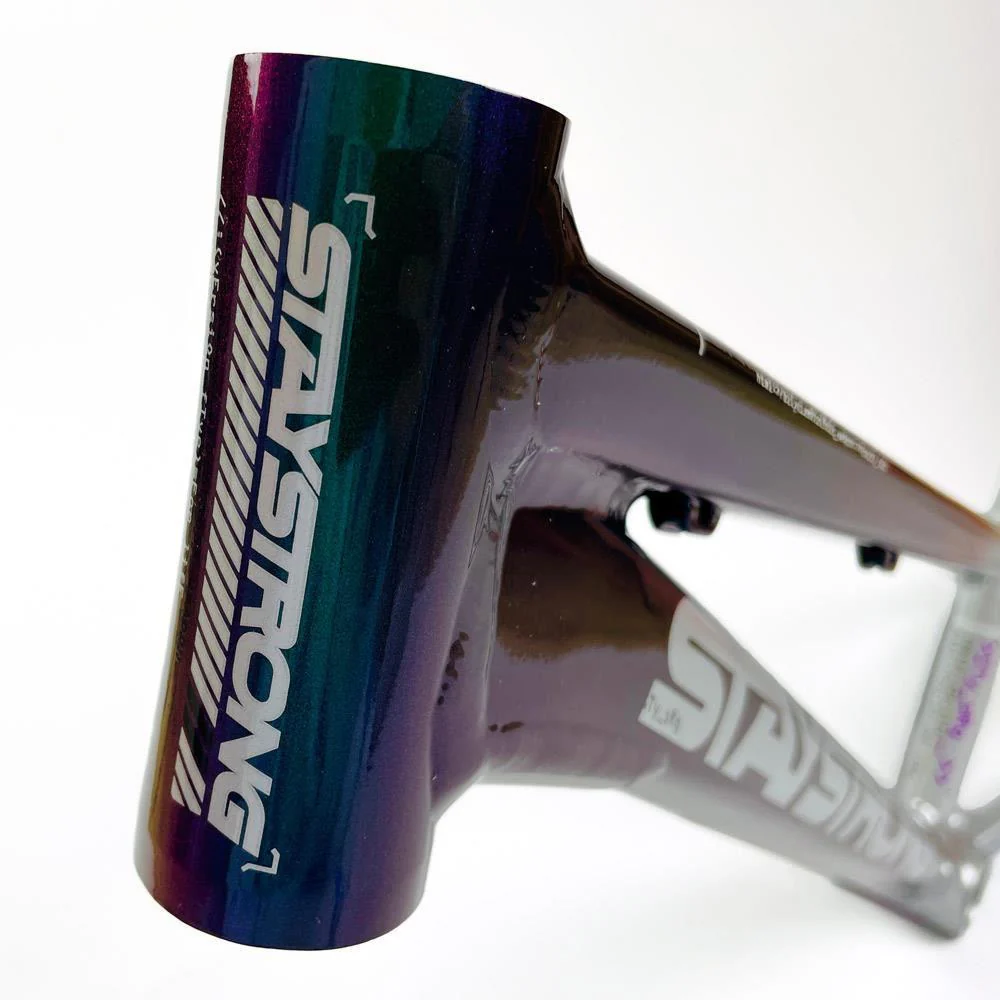 Stay Strong For Life 2024 V5 Expert Race Frame - Disc Frame - Image 21