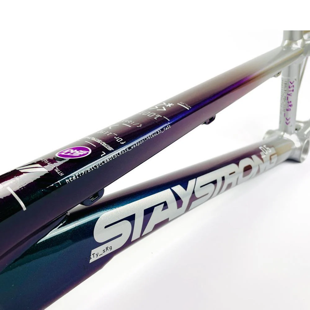 Stay Strong For Life 2024 V5 Expert Race Frame - Disc Frame - Image 22