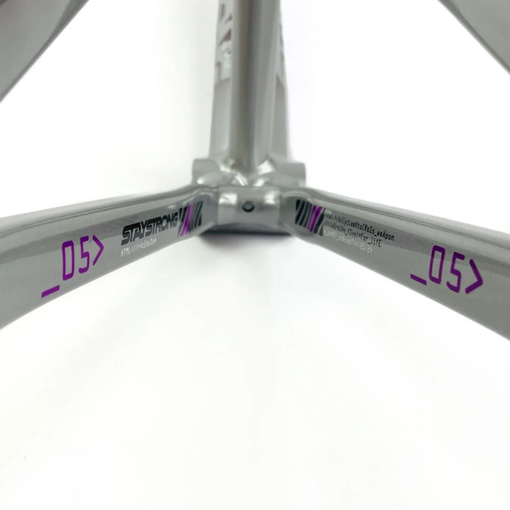Stay Strong For Life 2024 V5 Expert Race Frame - Disc Frame - Image 25