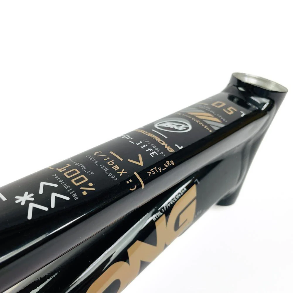 Stay Strong For Life 2024 V5 Expert Race Frame - Disc Frame - Image 4