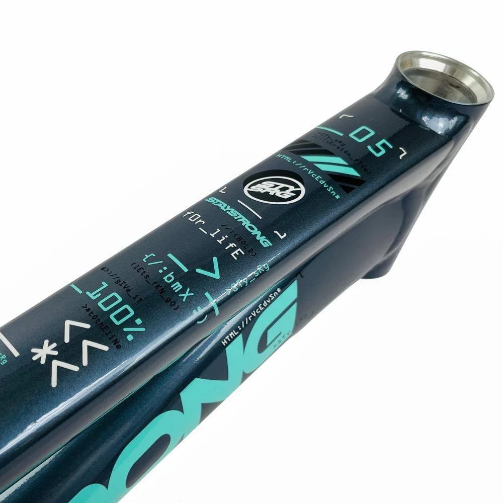 Stay Strong For Life 2024 V5 Expert XL Race Frame - Disc version - Image 11