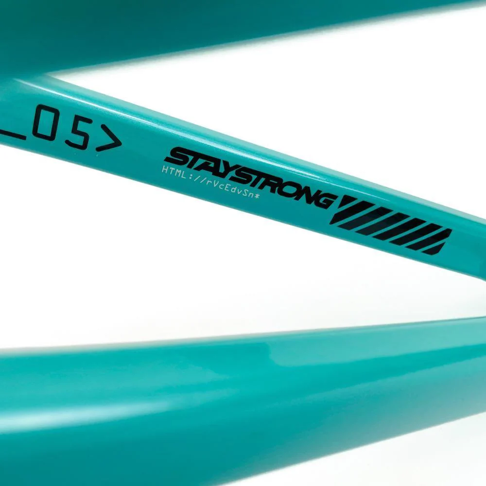 Stay Strong For Life 2024 V5 Expert XL Race Frame - Disc version - Image 13