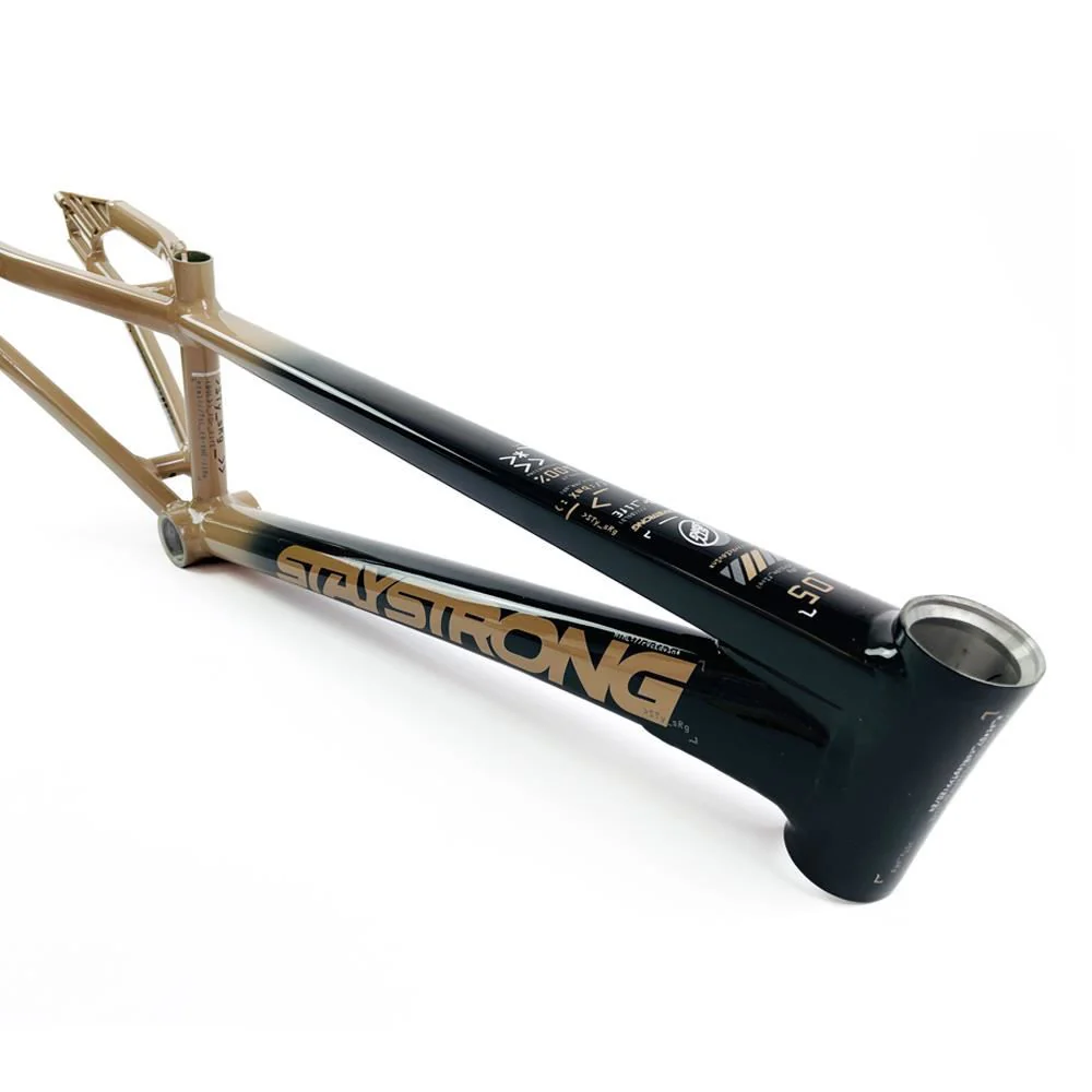 Stay Strong For Life 2024 V5 Expert XL Race Frame - Disc version - Image 15