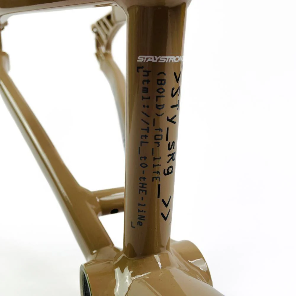 Stay Strong For Life 2024 V5 Expert XL Race Frame - Disc version - Image 19