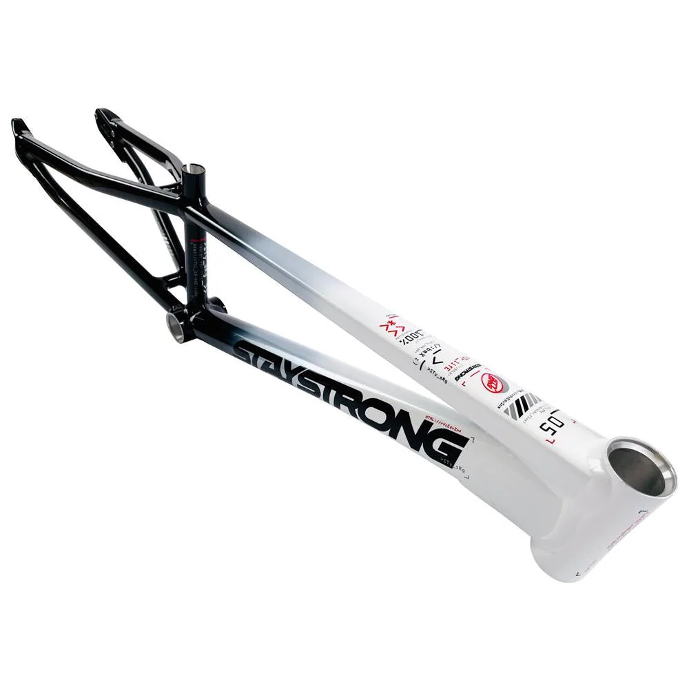 Stay Strong For Life 2024 V5 Expert XL Race Frame - Disc version - Image 20