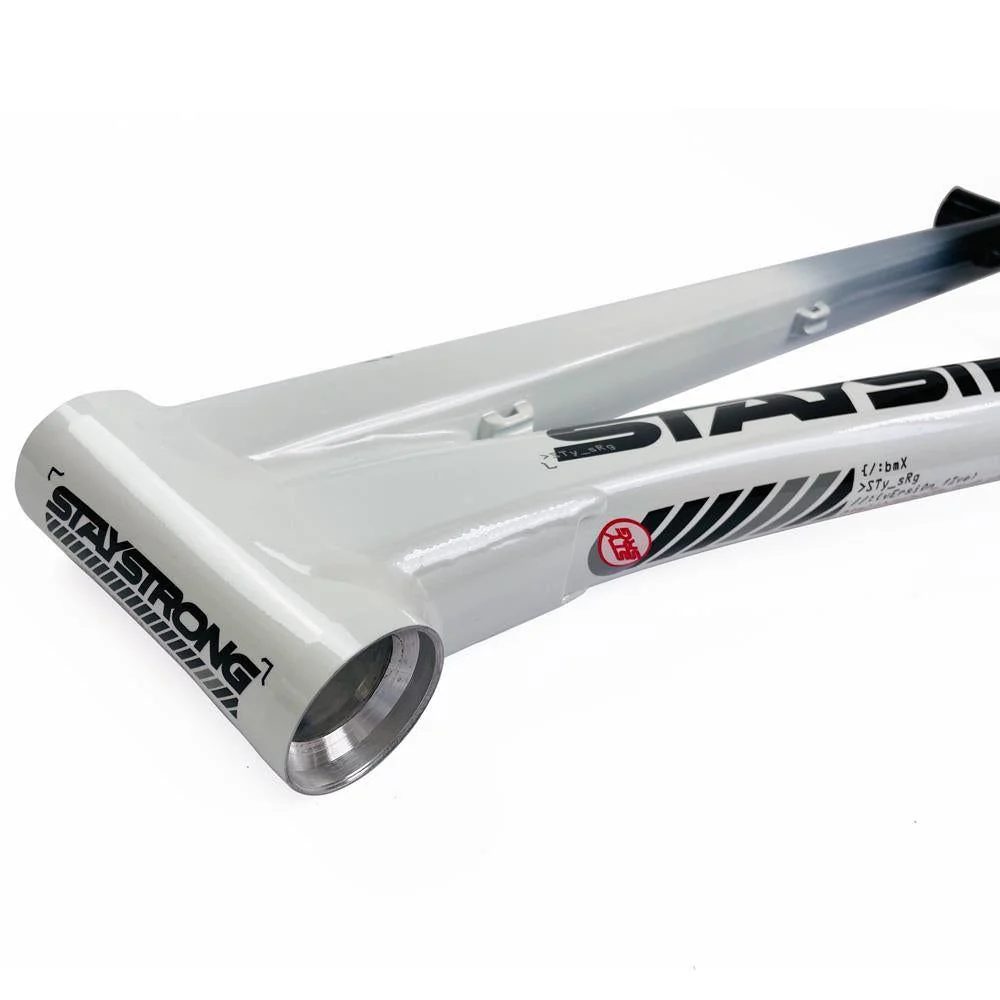 Stay Strong For Life 2024 V5 Expert XL Race Frame - Disc version - Image 22