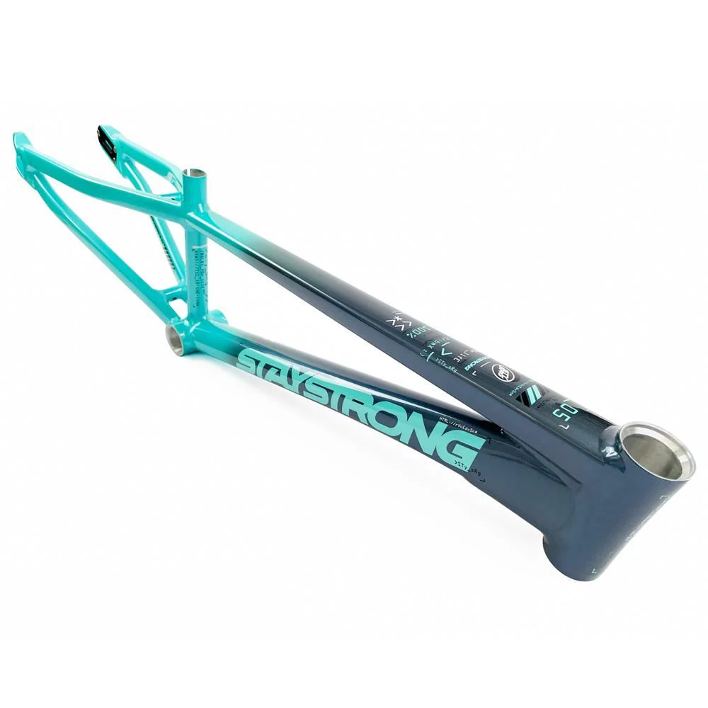 Stay Strong For Life 2024 V5 Expert XL Race Frame - Disc version - Image 8