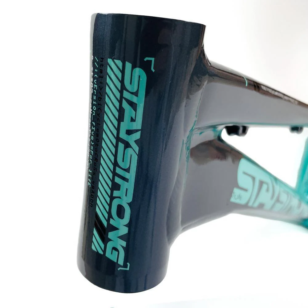 Stay Strong For Life 2024 V5 Expert XL Race Frame - Disc version - Image 9