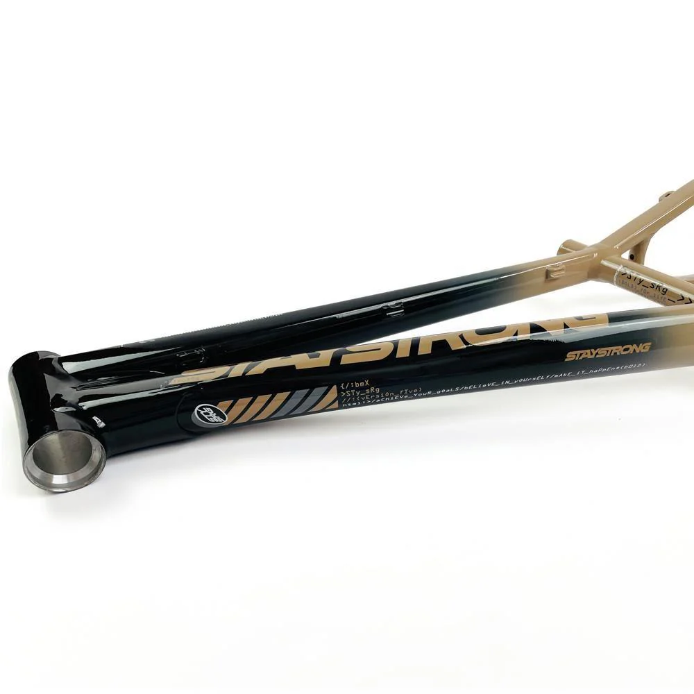 Stay Strong For Life 2024 V5 Junior Race Frame - Disc version - Image 10