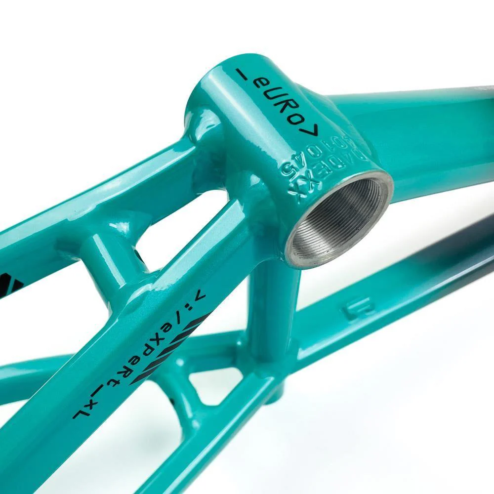 Stay Strong For Life 2024 V5 Junior Race Frame - Disc version - Image 18