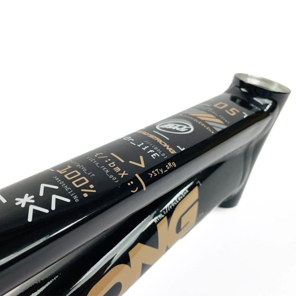 Stay Strong For Life 2024 V5 Mini Race Frame - Disc Version - Image 11