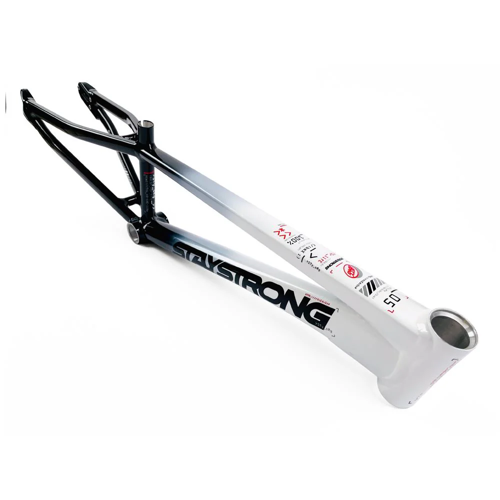 Stay Strong For Life 2024 V5 Mini Race Frame - Disc Version - Image 13
