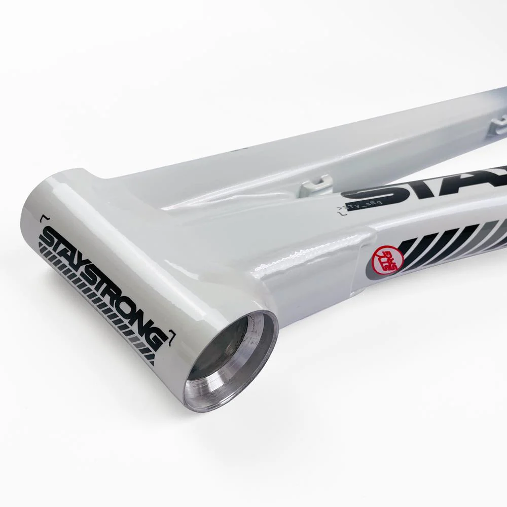 Stay Strong For Life 2024 V5 Mini Race Frame - Disc Version - Image 14