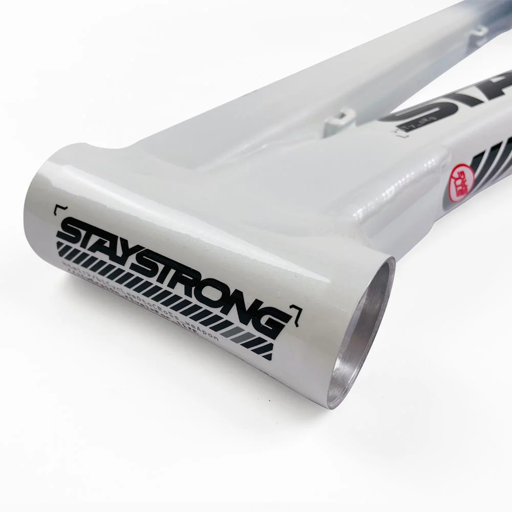 Stay Strong For Life 2024 V5 Mini Race Frame - Disc Version - Image 15