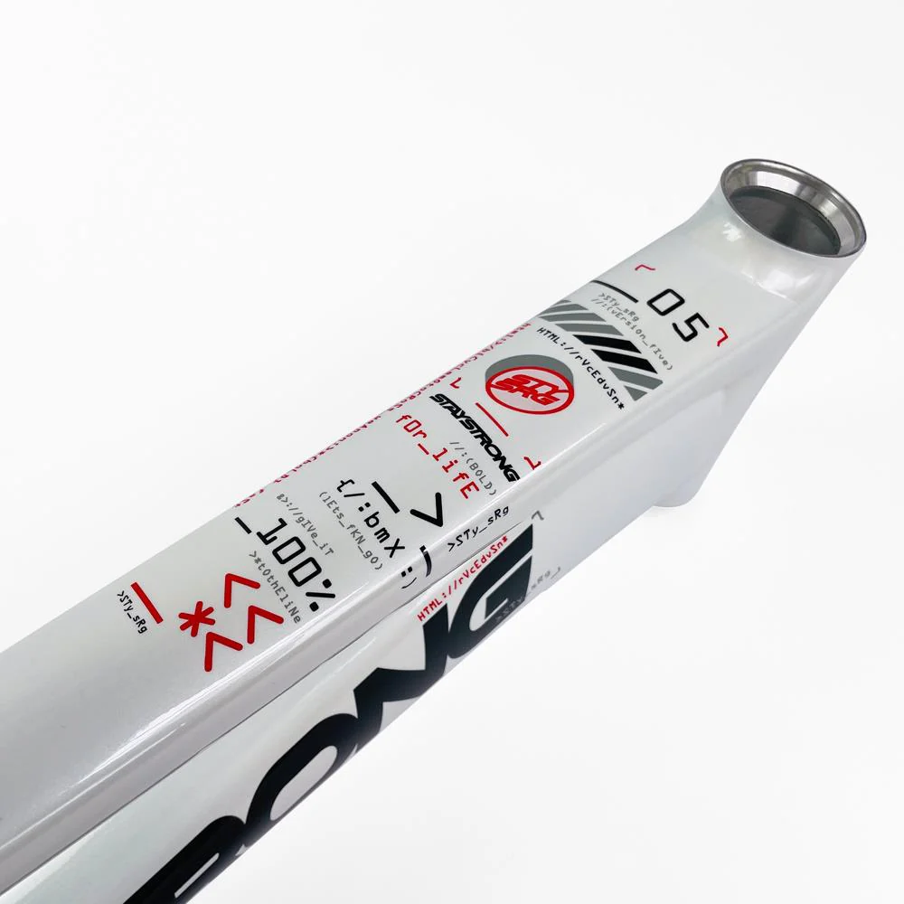 Stay Strong For Life 2024 V5 Mini Race Frame - Disc Version - Image 16