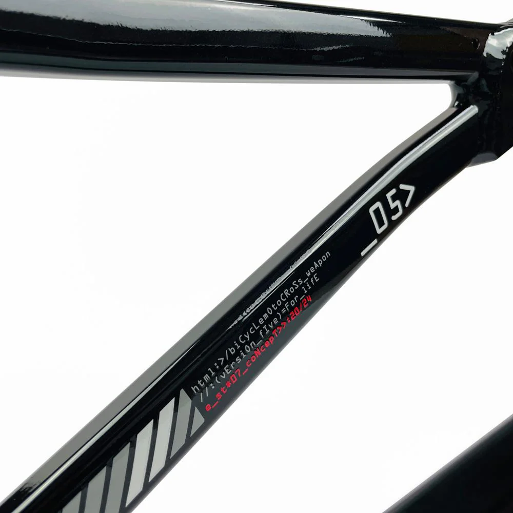 Stay Strong For Life 2024 V5 Mini Race Frame - Disc Version - Image 17