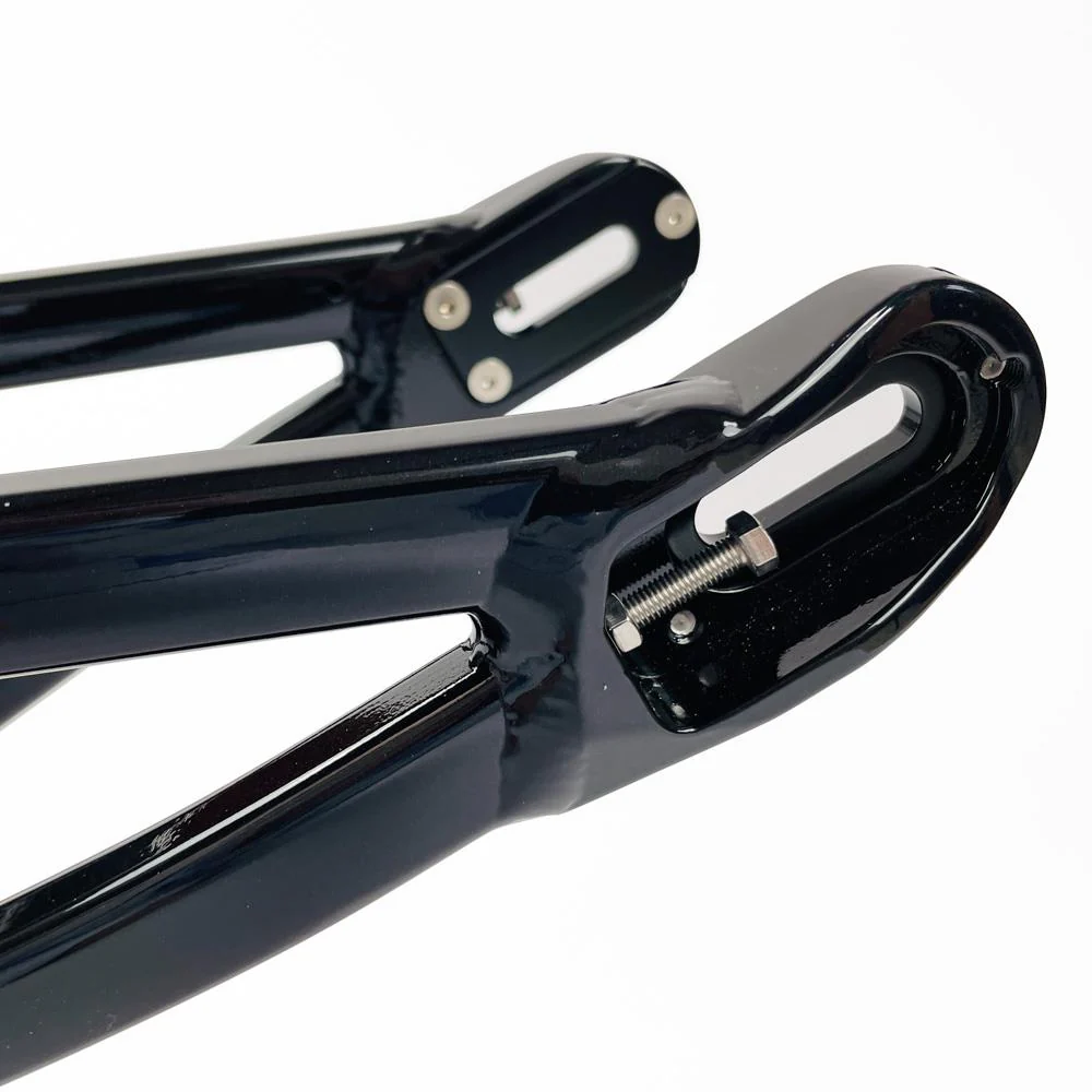 Stay Strong For Life 2024 V5 Mini Race Frame - Disc Version - Image 18