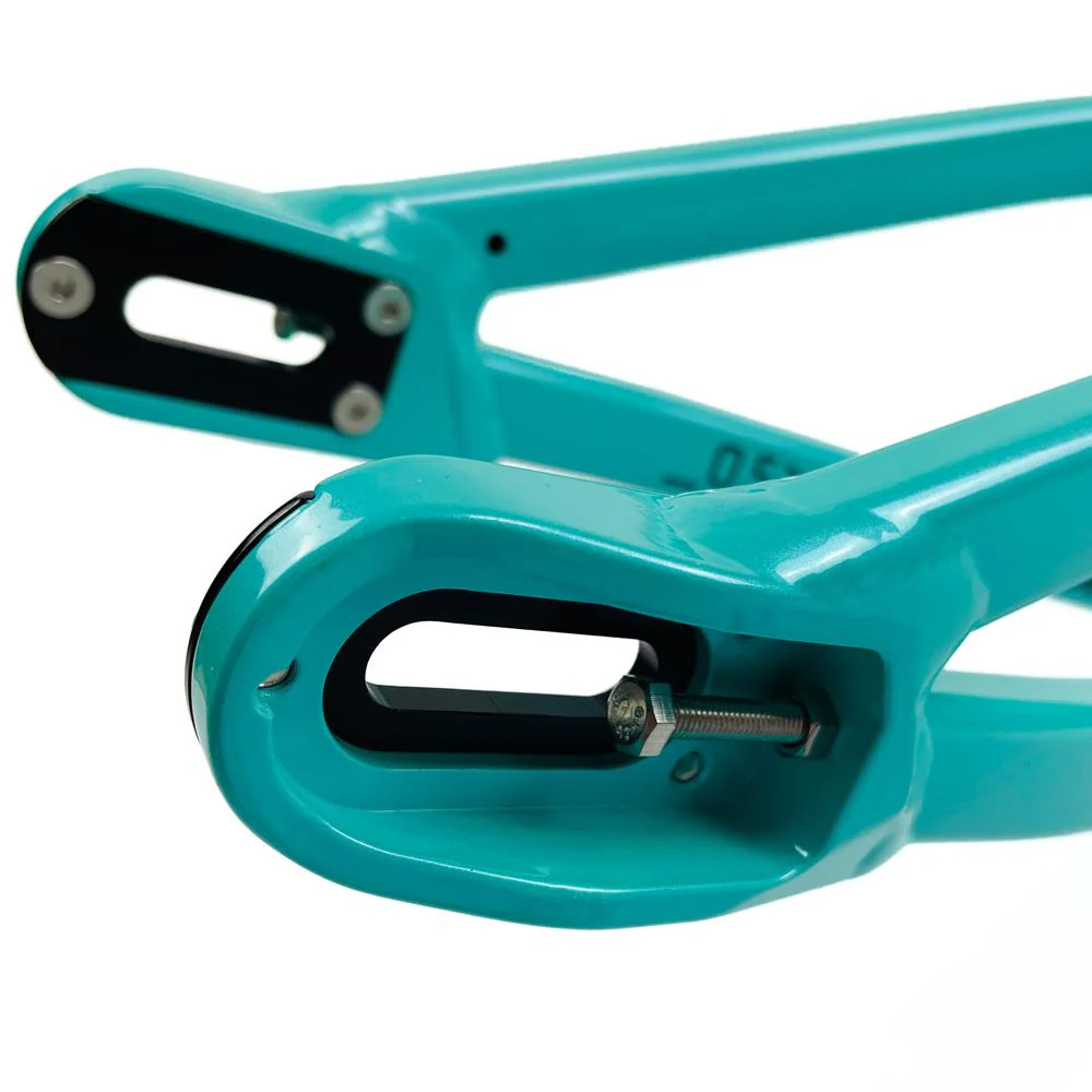 Stay Strong For Life 2024 V5 Mini Race Frame - Disc Version - Image 26
