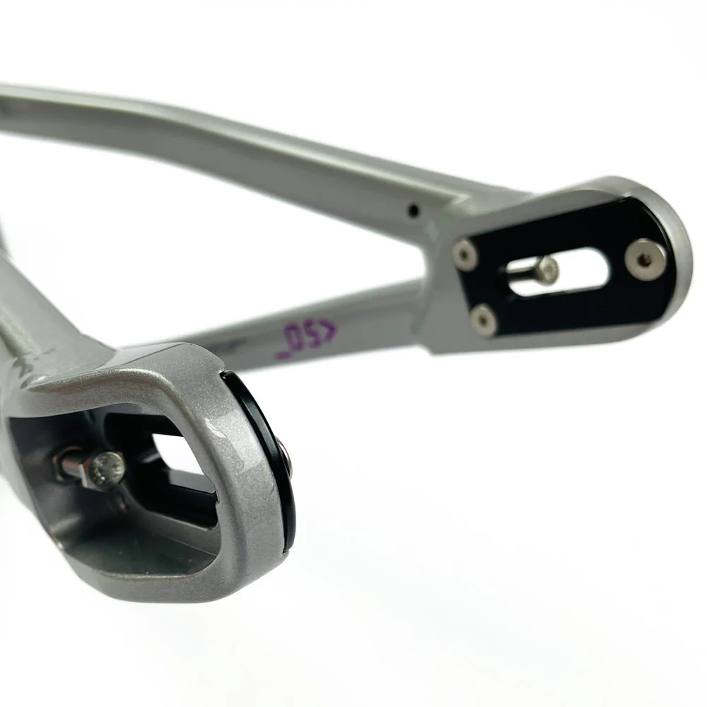 Stay Strong For Life 2024 V5 Mini Race Frame - Disc Version - Image 7