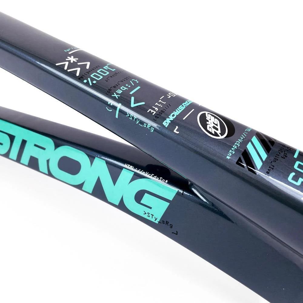 Stay Strong For Life 2024 V5 Pro Race Frame - Disc Version - Image 34