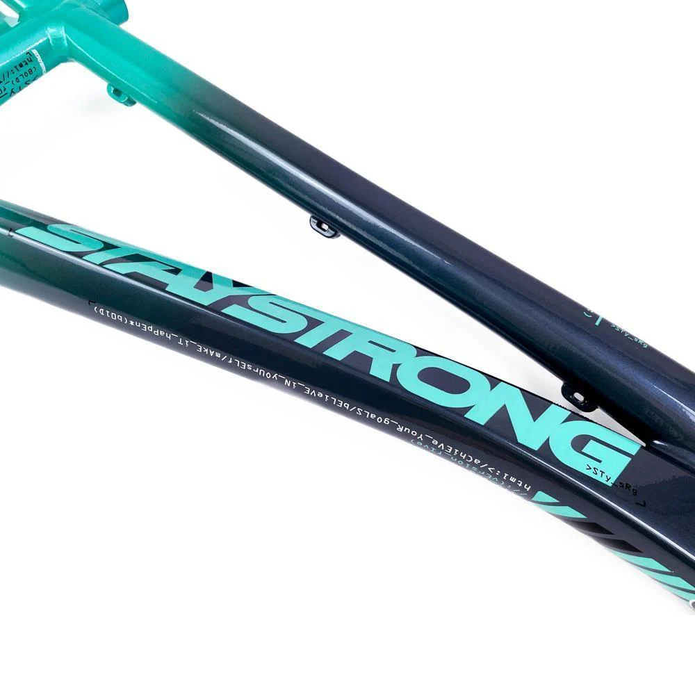Stay Strong For Life 2024 V5 Pro Race Frame - Disc Version - Image 35