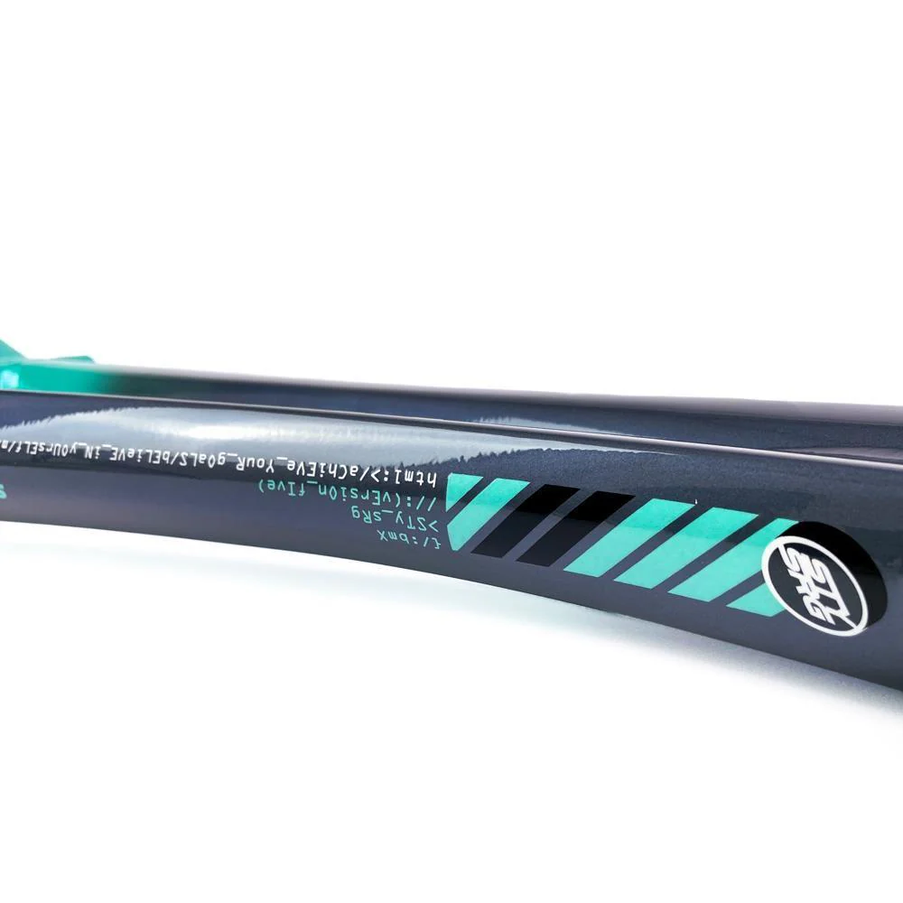 Stay Strong For Life 2024 V5 Pro Race Frame - Disc Version - Image 36
