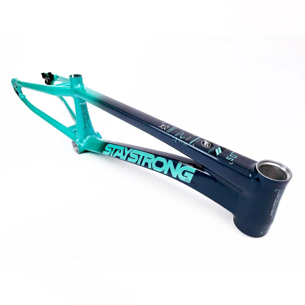 Stay Strong For Life 2024 V5 Pro XXXL Race Frame - Disc Version - Image 10