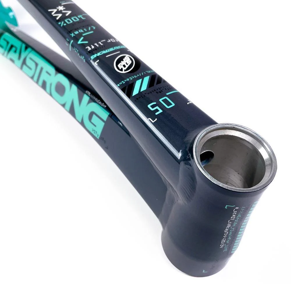 Stay Strong For Life 2024 V5 Pro XXXL Race Frame - Disc Version - Image 11
