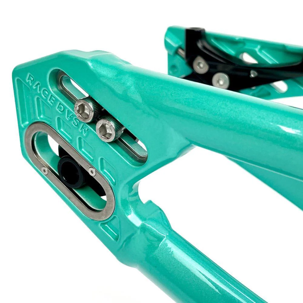 Stay Strong For Life 2024 V5 Pro XXXL Race Frame - Disc Version - Image 17
