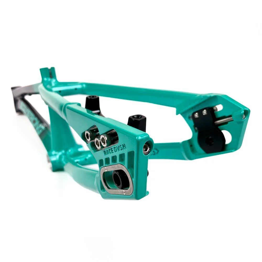 Stay Strong For Life 2024 V5 Pro XXXL Race Frame - Disc Version - Image 19