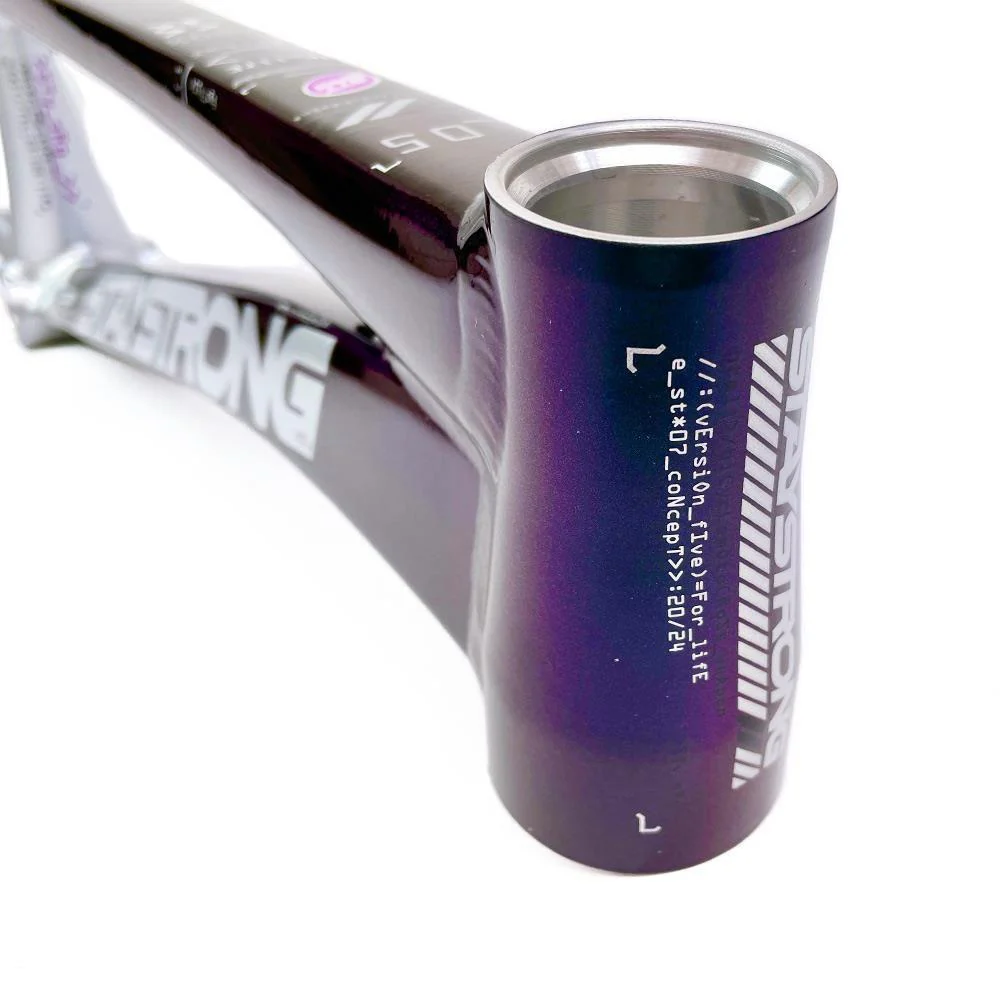 Stay Strong For Life 2024 V5 Pro XXXL Race Frame - Disc Version - Image 22