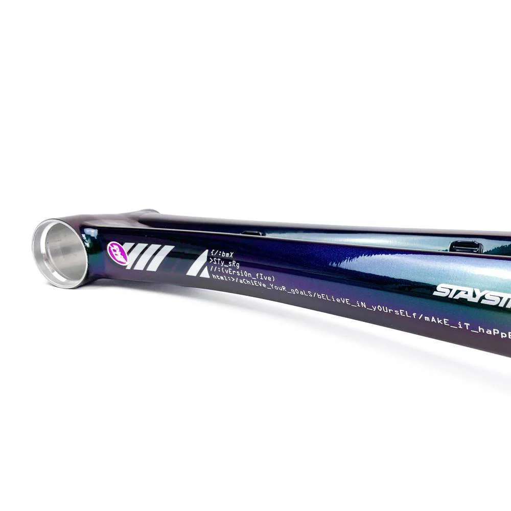 Stay Strong For Life 2024 V5 Pro XXXL Race Frame - Disc Version - Image 25
