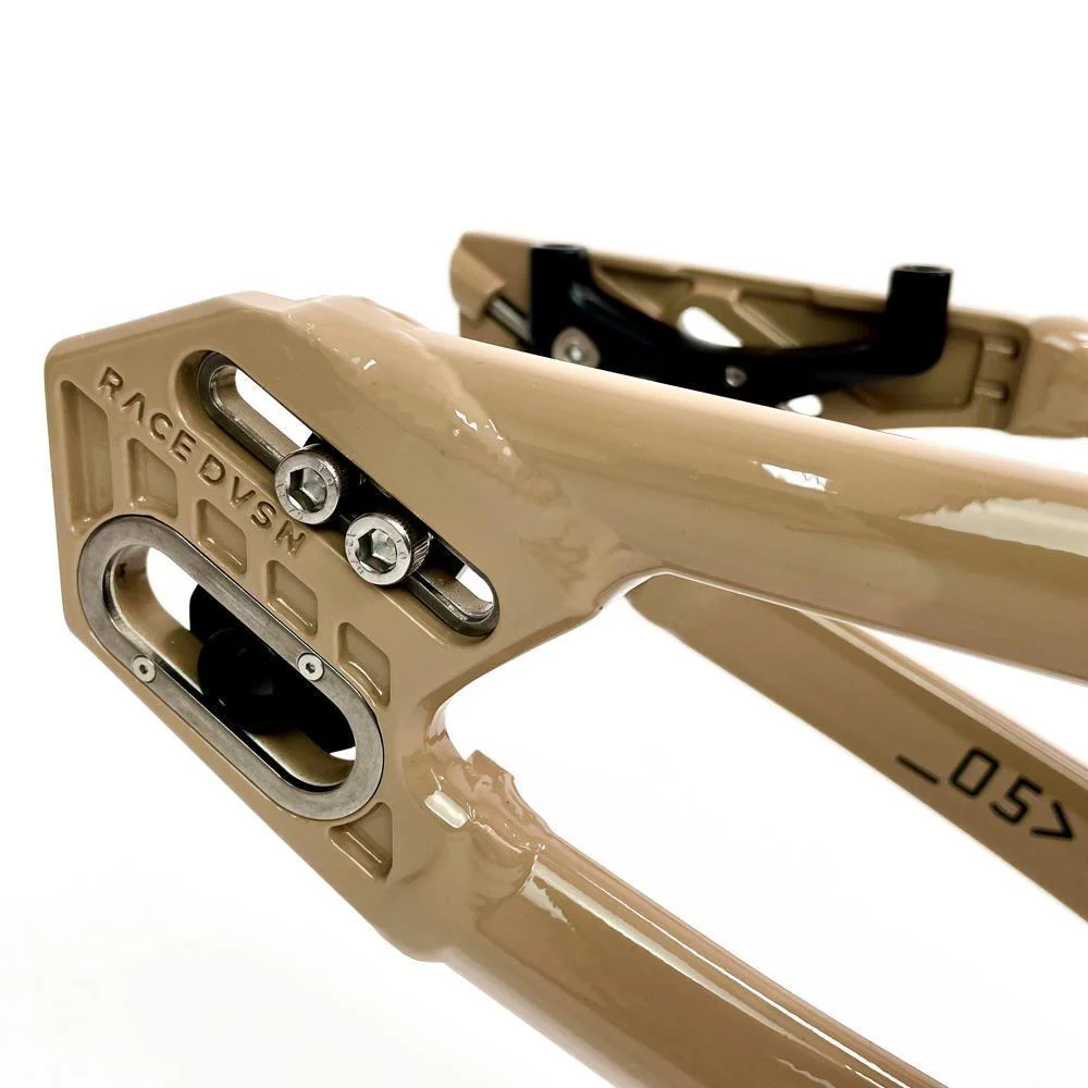 Stay Strong For Life 2024 V5 Pro XXXL Race Frame - Disc Version - Image 42