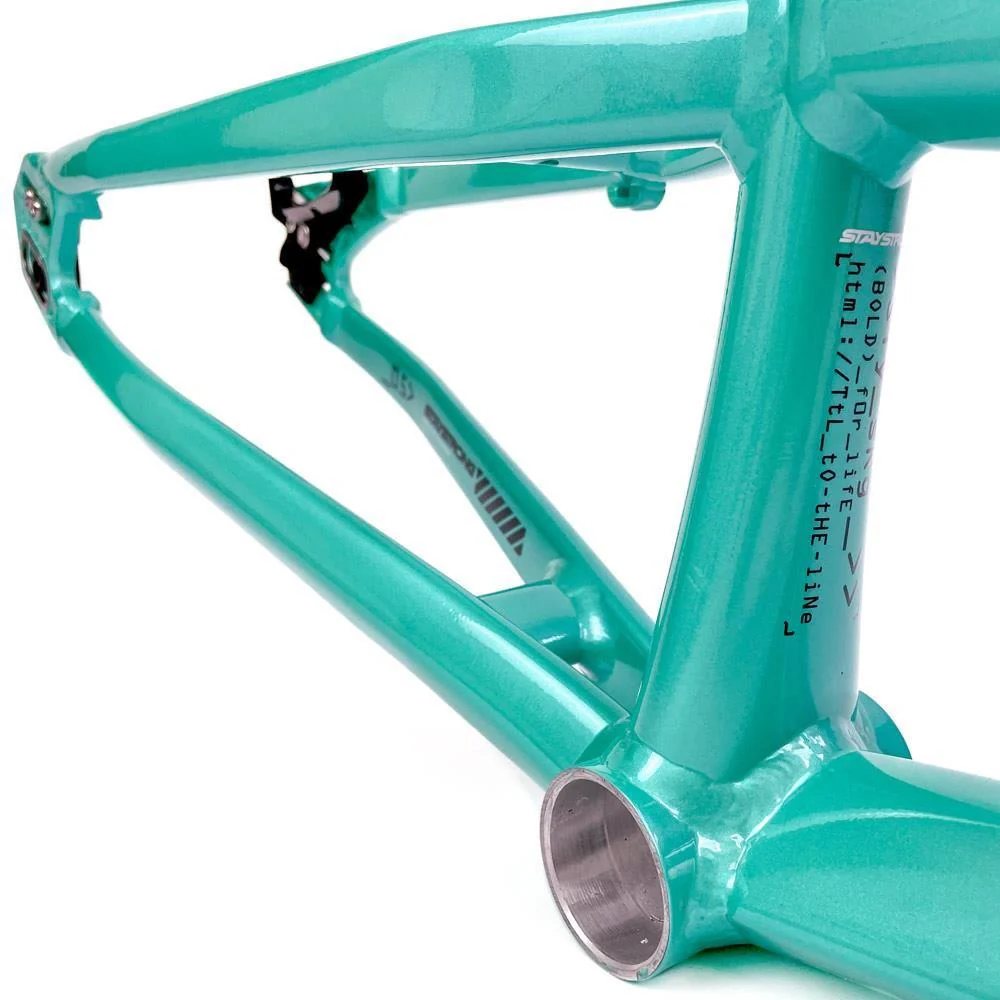 Stay Strong For Life 2024 V5 Pro XXXXL Race Frame - Disc version - Image 18