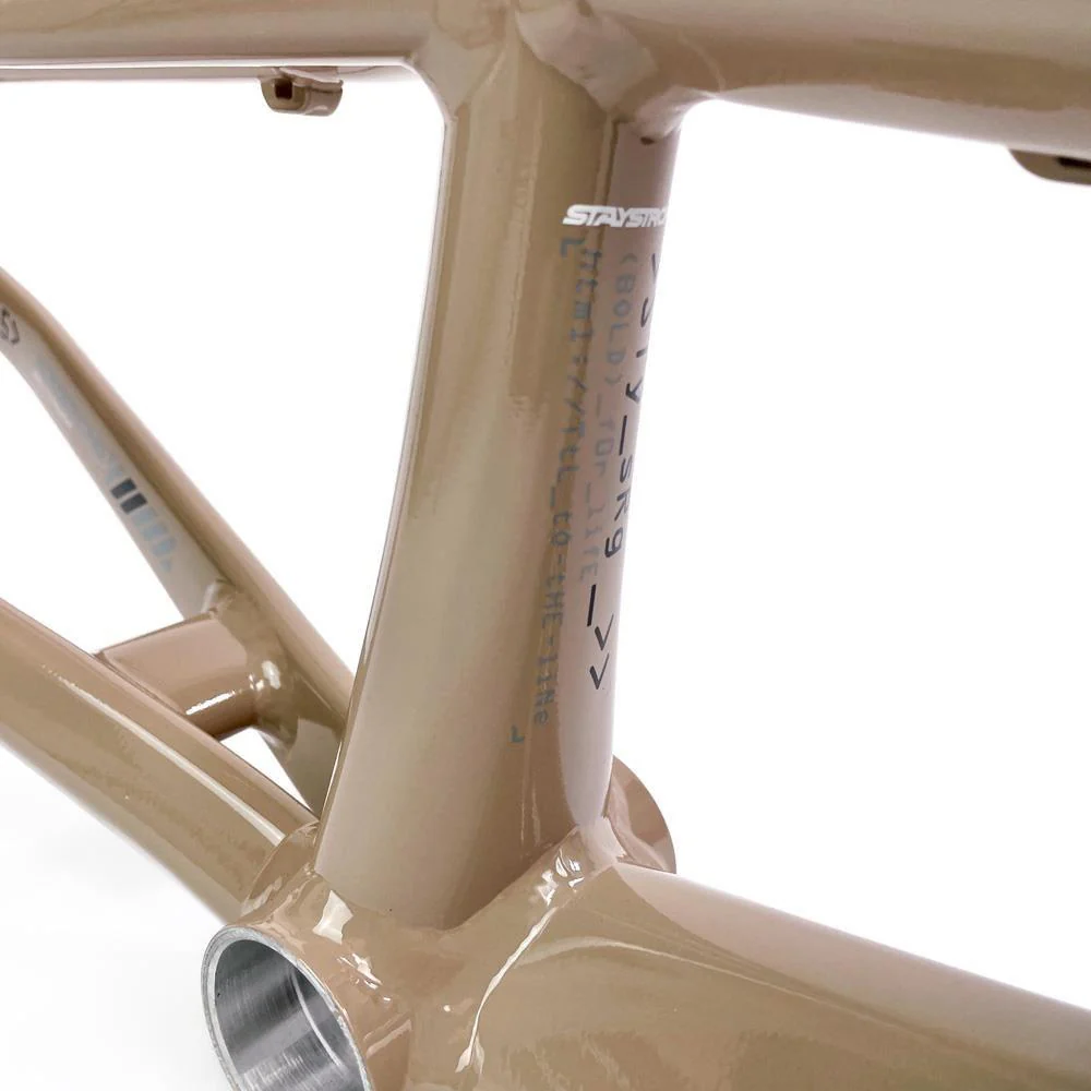 Stay Strong For Life 2024 V5 Pro XXXXL Race Frame - Disc version - Image 38