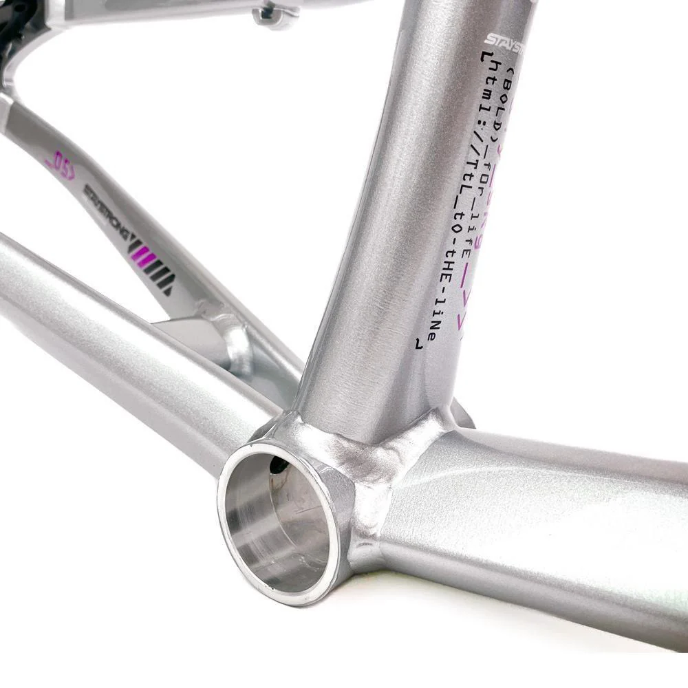 Stay Strong For Life 2024 V5 Pro XXXXL Race Frame - Disc version - Image 7