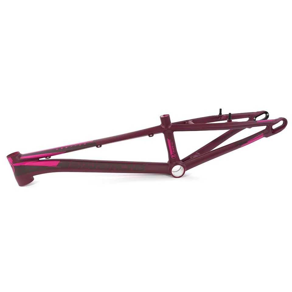 Stay Strong For Life V3 Race Frame - Pro XXXL - Image 2