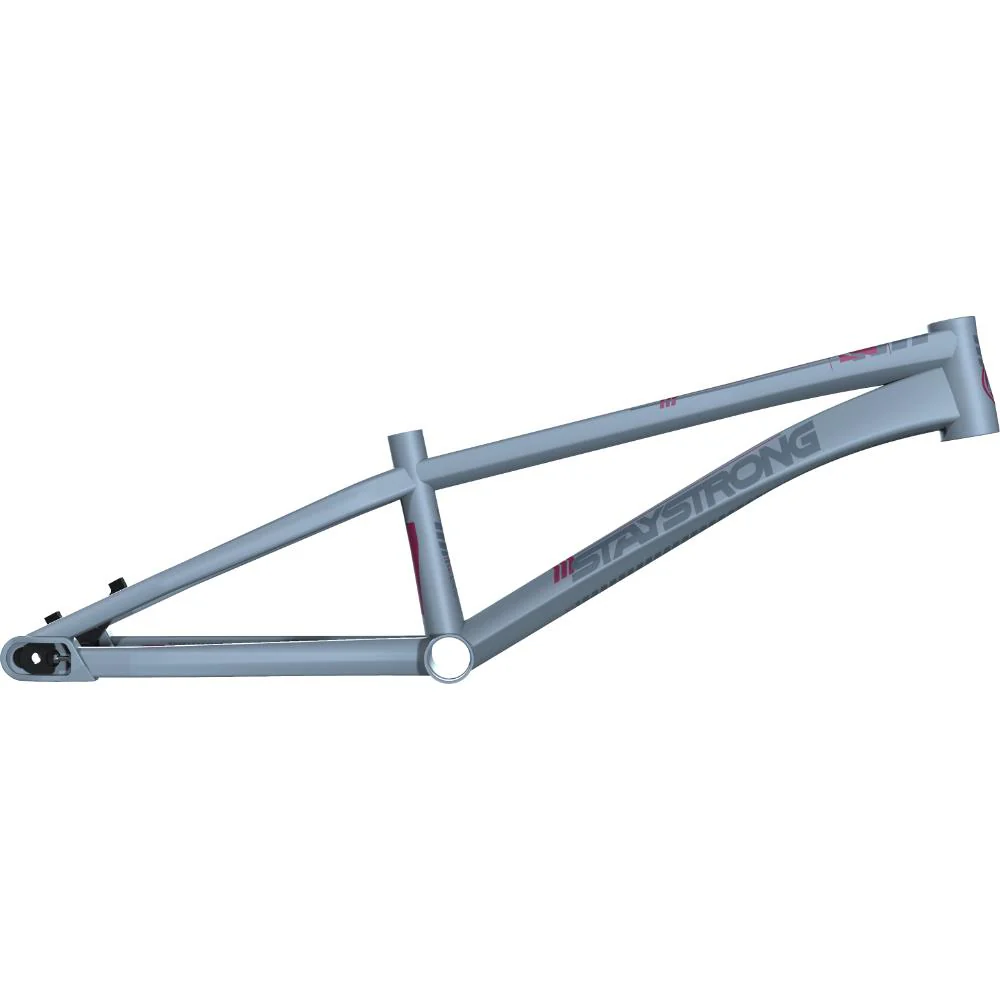 Stay Strong For Life V4 Mini Race Frame - Image 10