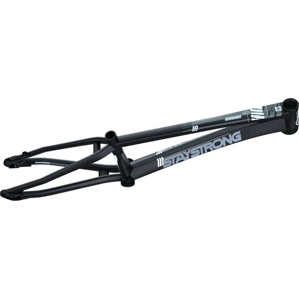 Stay Strong For Life V4 Mini Race Frame - Image 2