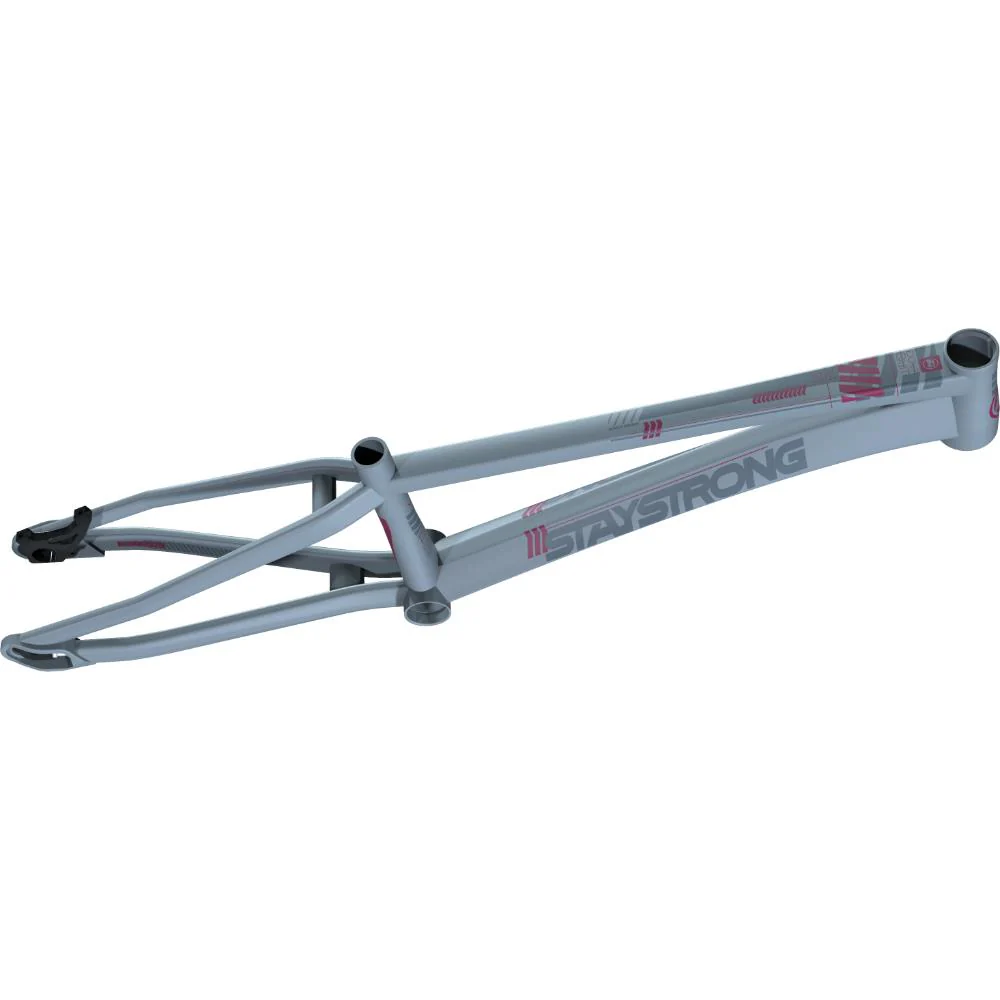 Stay Strong For Life V4 Mini Race Frame - Image 6