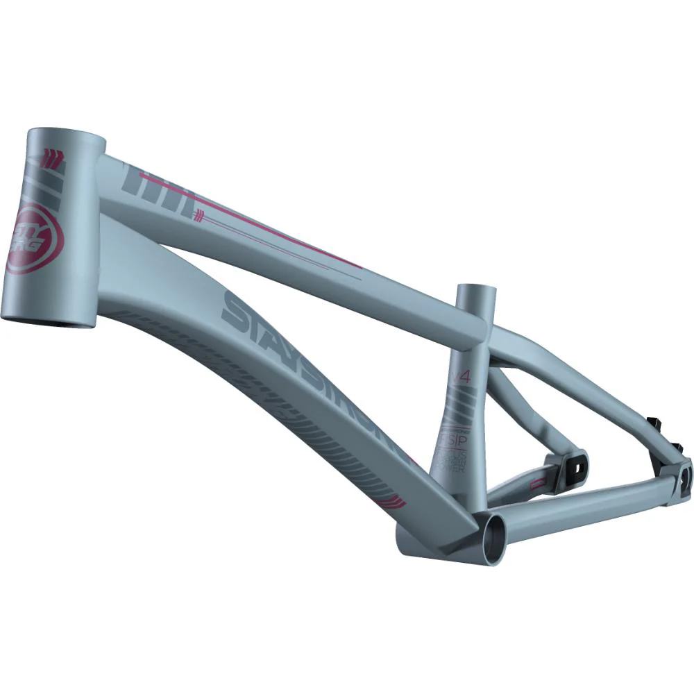 Stay Strong For Life V4 Mini Race Frame - Image 7