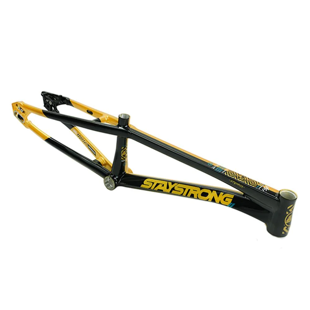 Stay Strong For Life V5.1 Cruiser Expert XL Frame - Image 12