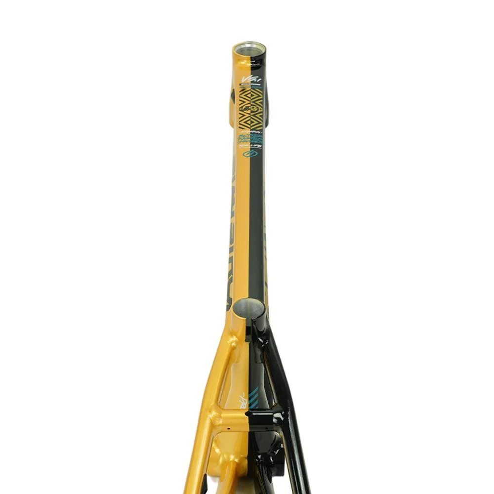 Stay Strong For Life V5.1 Cruiser Expert XL Frame - Image 14